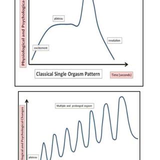 argasm|Climax vs. orgasm: How to tell the difference .